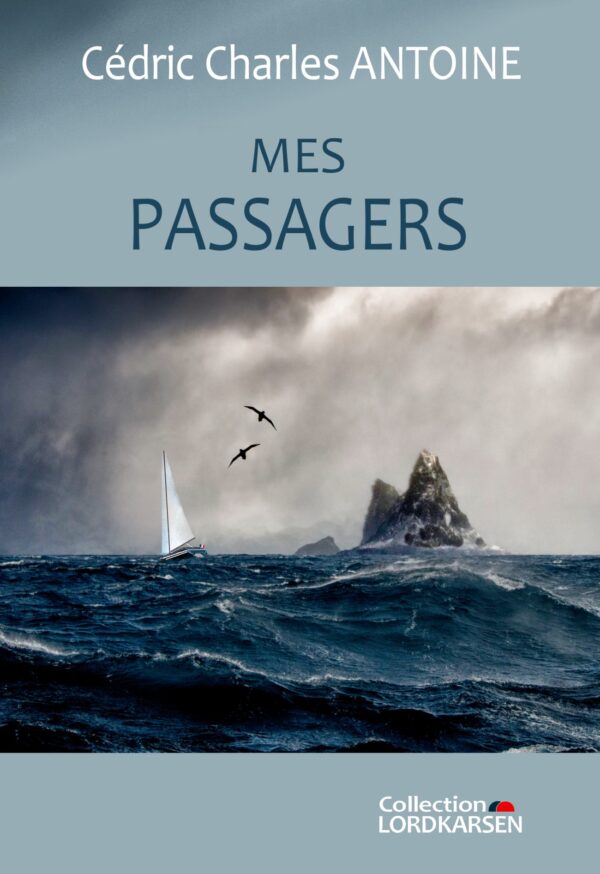 Achat livre - Mes passagers